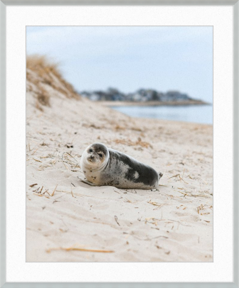 Pup