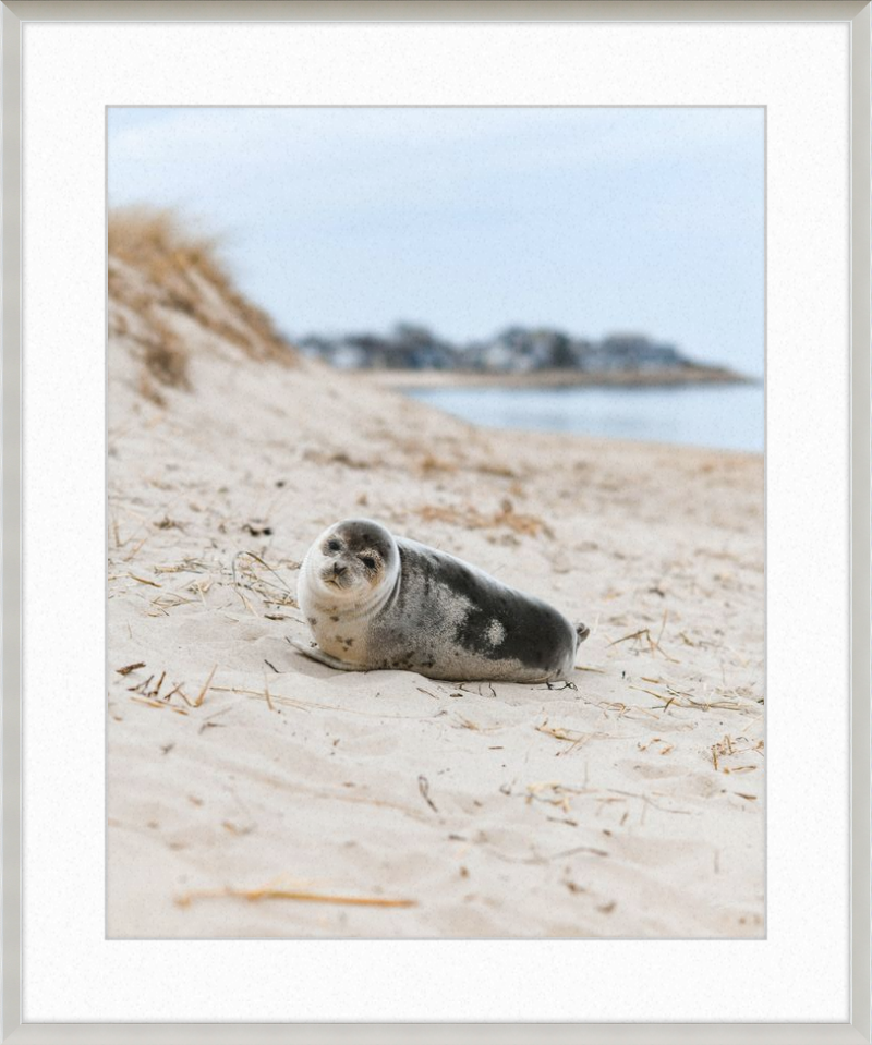 Pup