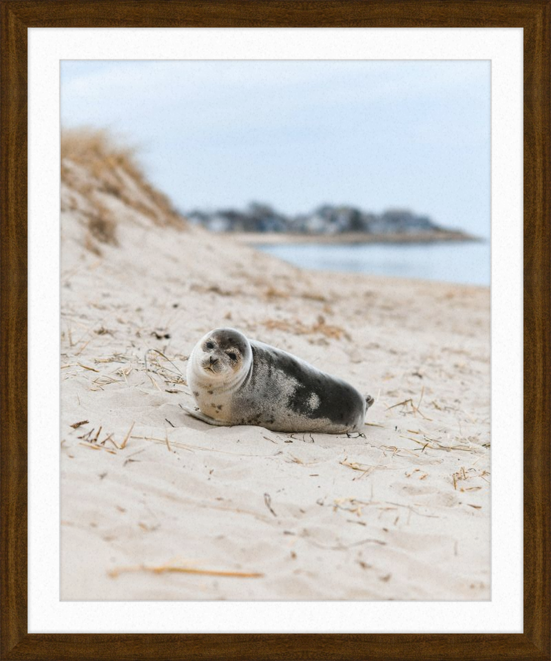 Pup