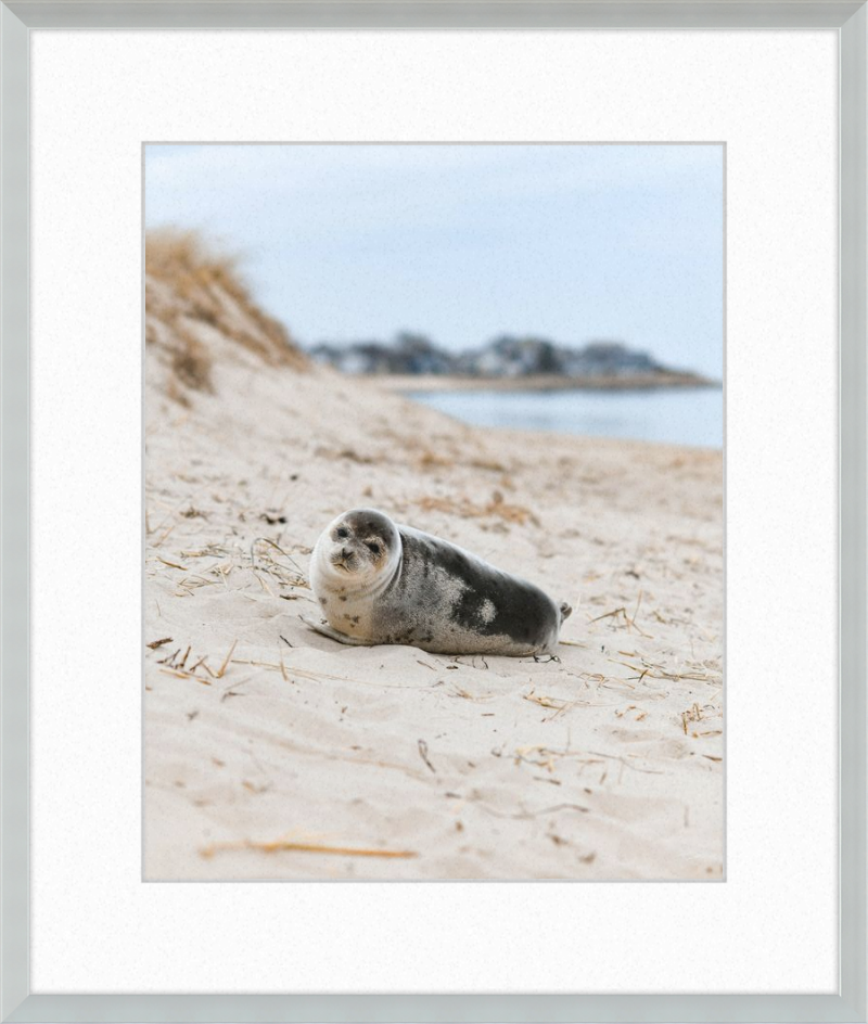 Pup