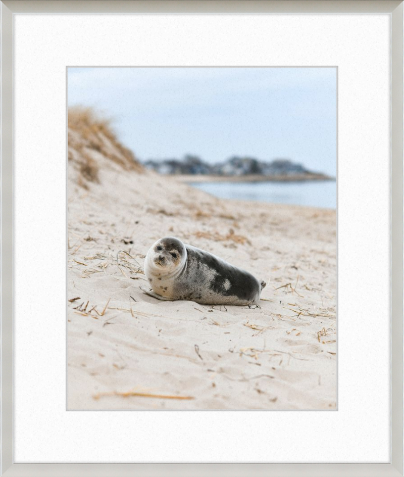Pup