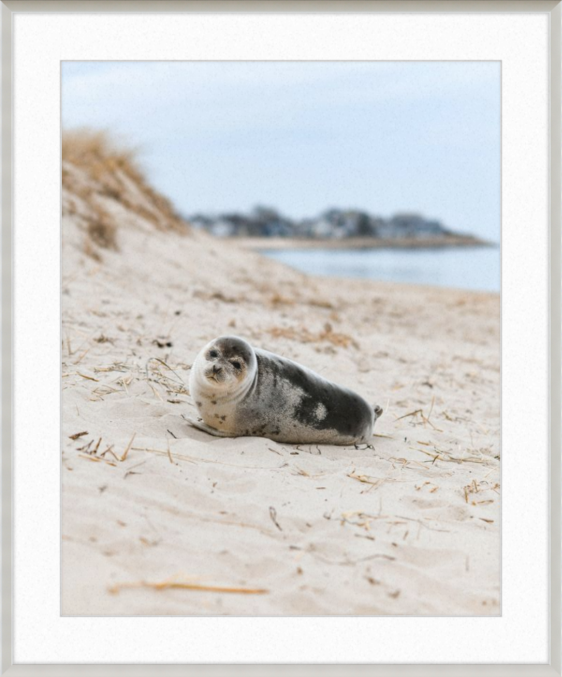 Pup
